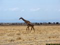 Magnifique Tanzanie-008